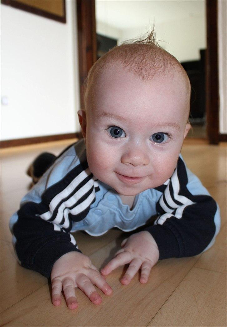 Dreng Silas - 7 mrd billede 5