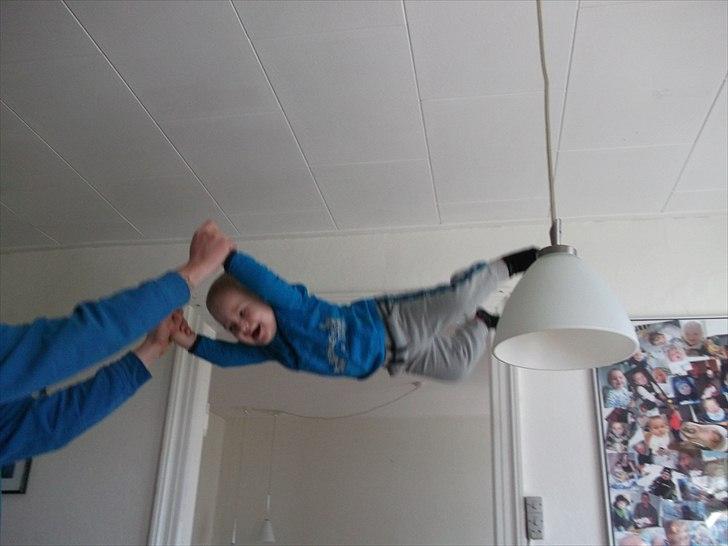 Dreng William billede 12