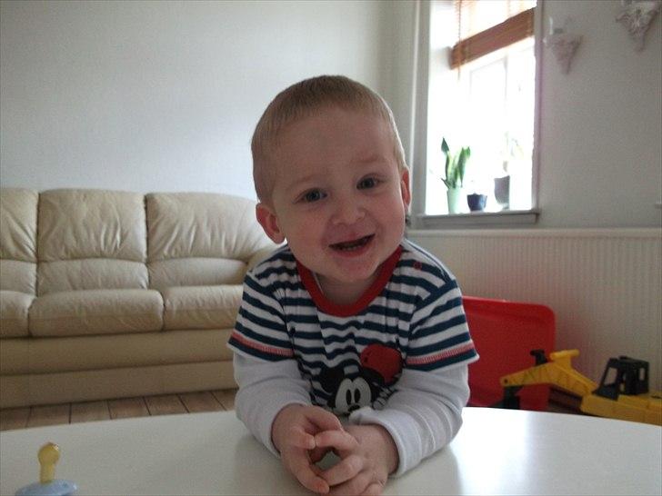 Dreng William billede 13