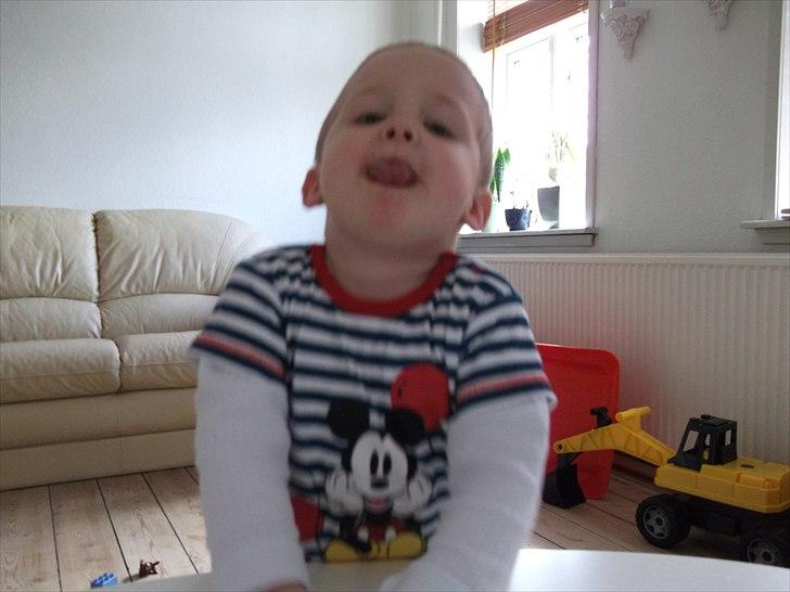 Dreng William billede 14