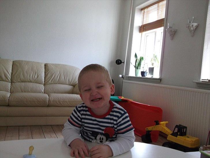 Dreng William billede 15