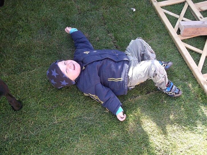 Dreng William billede 16
