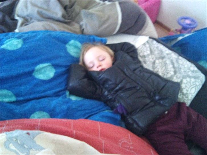 Pige line spure nielsen - blev træt a vente på lille bror var færdig med a spise billede 18