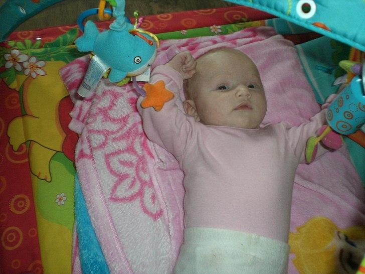 Pige Gabriella Sophia billede 14