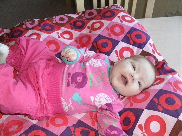 Pige Merle - Merle billede 1