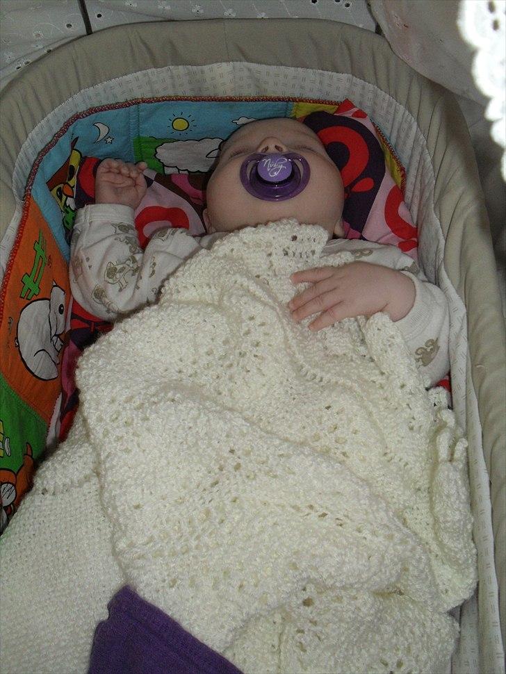 Pige Merle - Merle billede 2