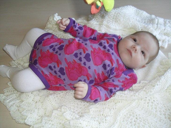 Pige Merle billede 3