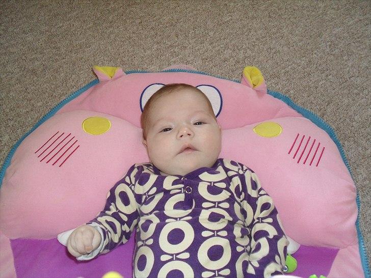 Pige Merle billede 9