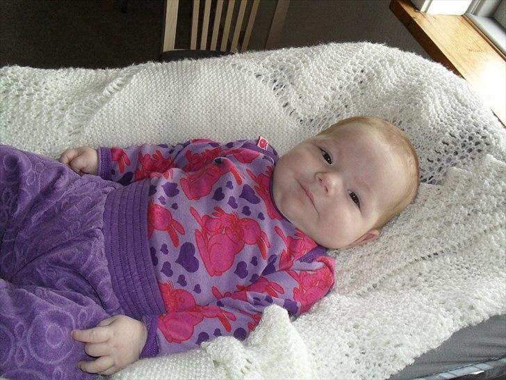 Pige Merle billede 10