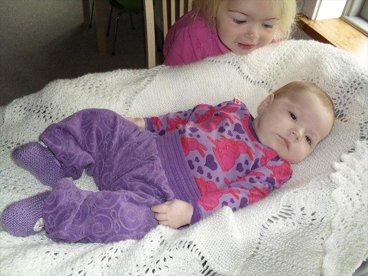 Pige Merle billede 11