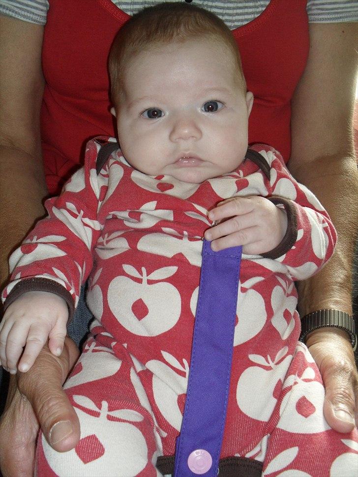 Pige Merle billede 12