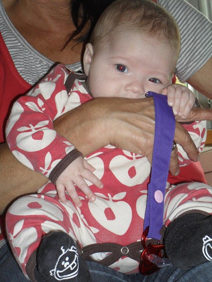 Pige Merle billede 13