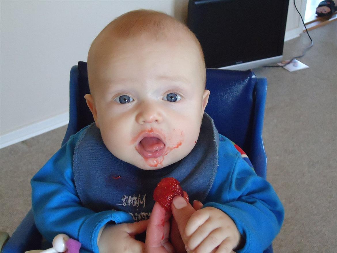 Dreng Gustav <3 - Mums jordbær !!!!! billede 16