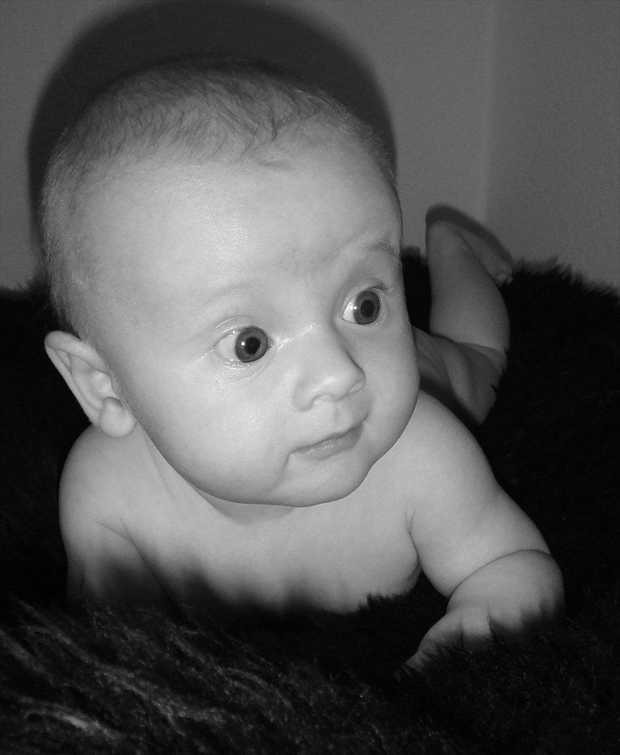 Pige Filippa billede 4