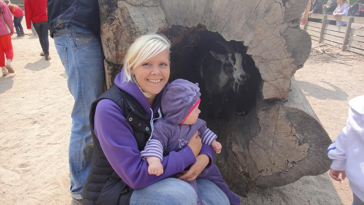 Pige Filippa - I zoologiskhave Maj 2011 billede 13