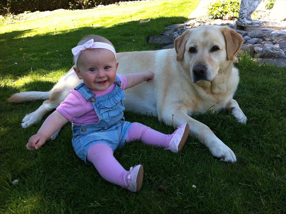 Pige Filippa billede 17