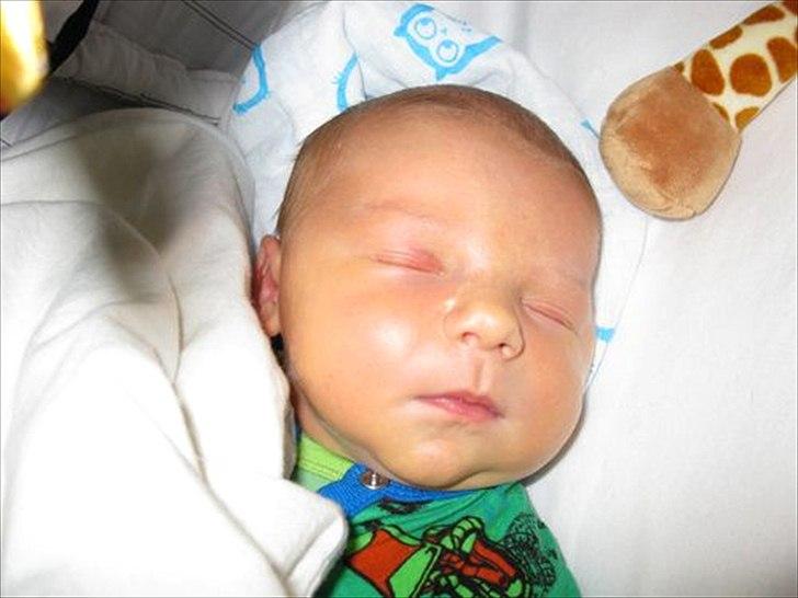 Dreng Mikas - Mikas 4 dage gammel :) billede 1