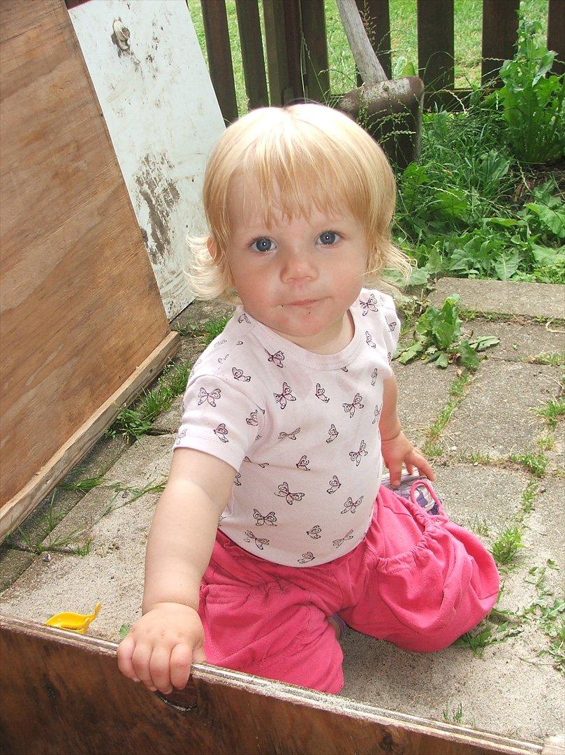 Pige Clara - På vej til at blive blond
 billede 5