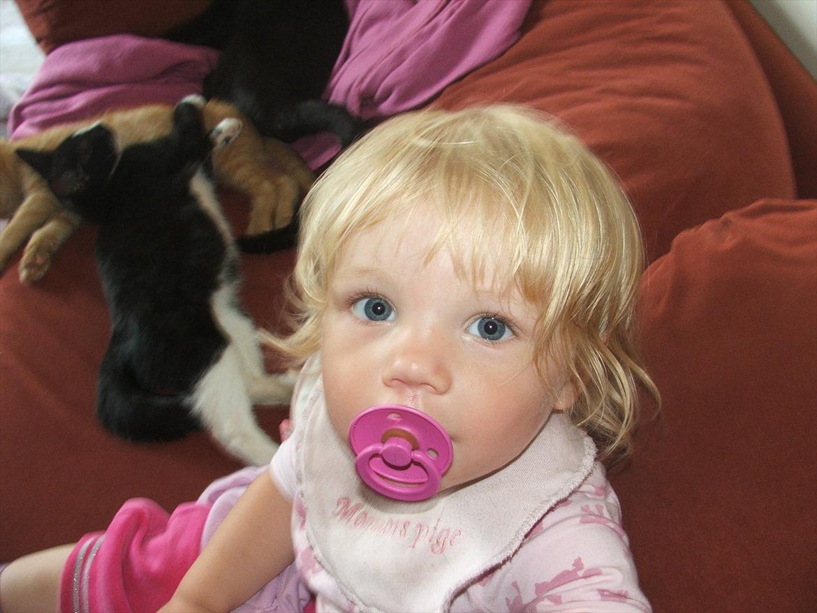 Pige Clara - Clara med de blå blå blå øjne<3 billede 9