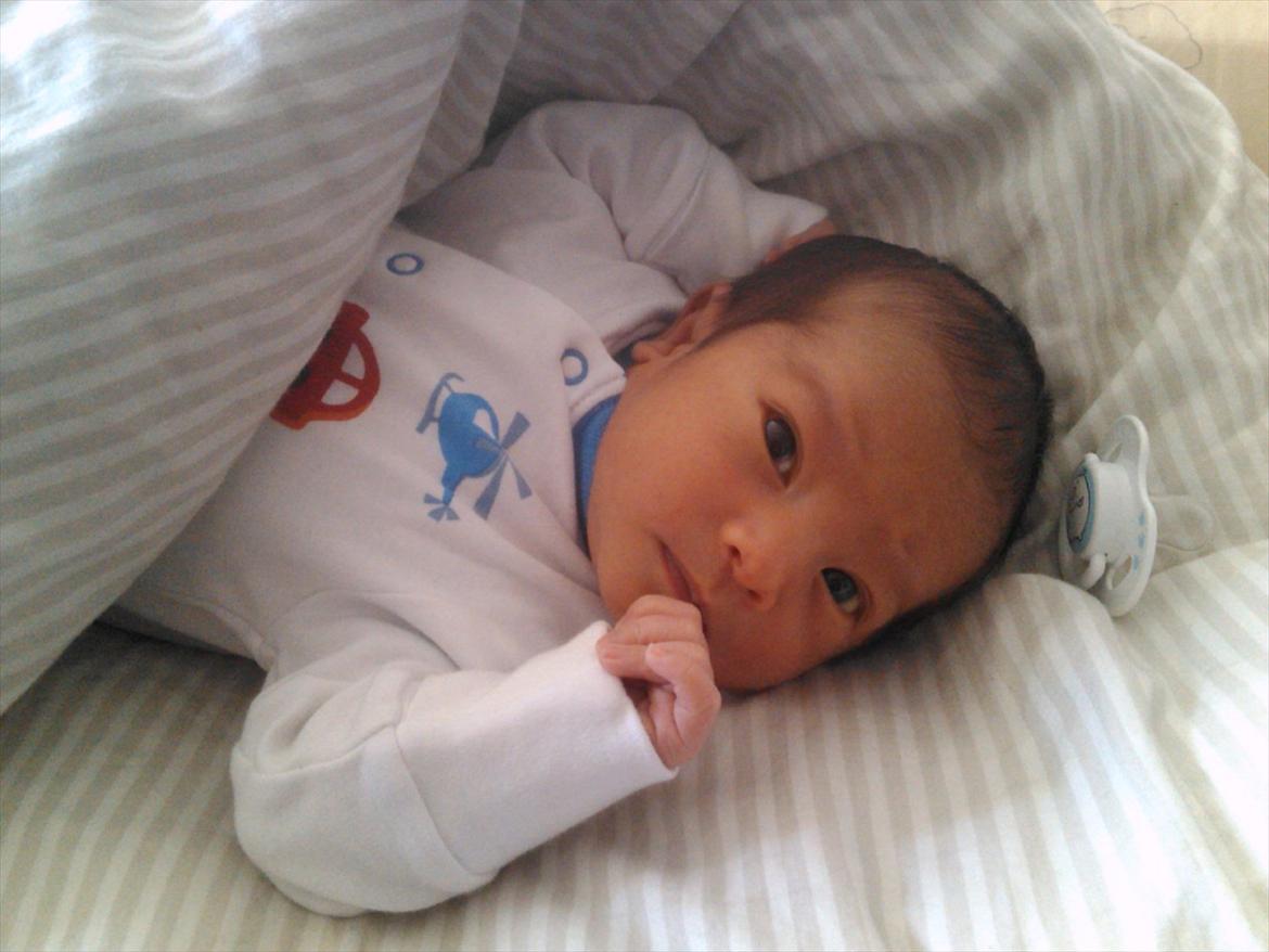 Dreng Jamie billede 1