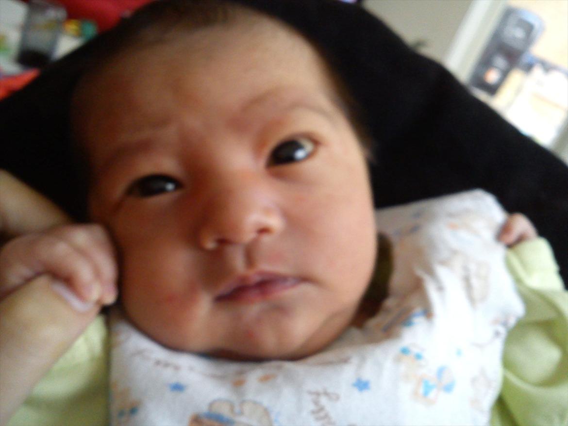 Dreng Jamie billede 4