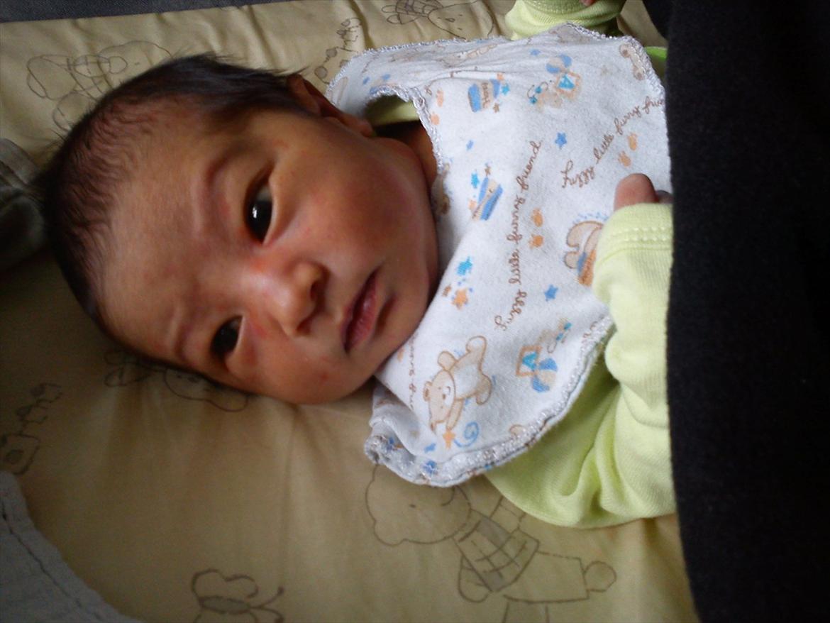 Dreng Jamie billede 5