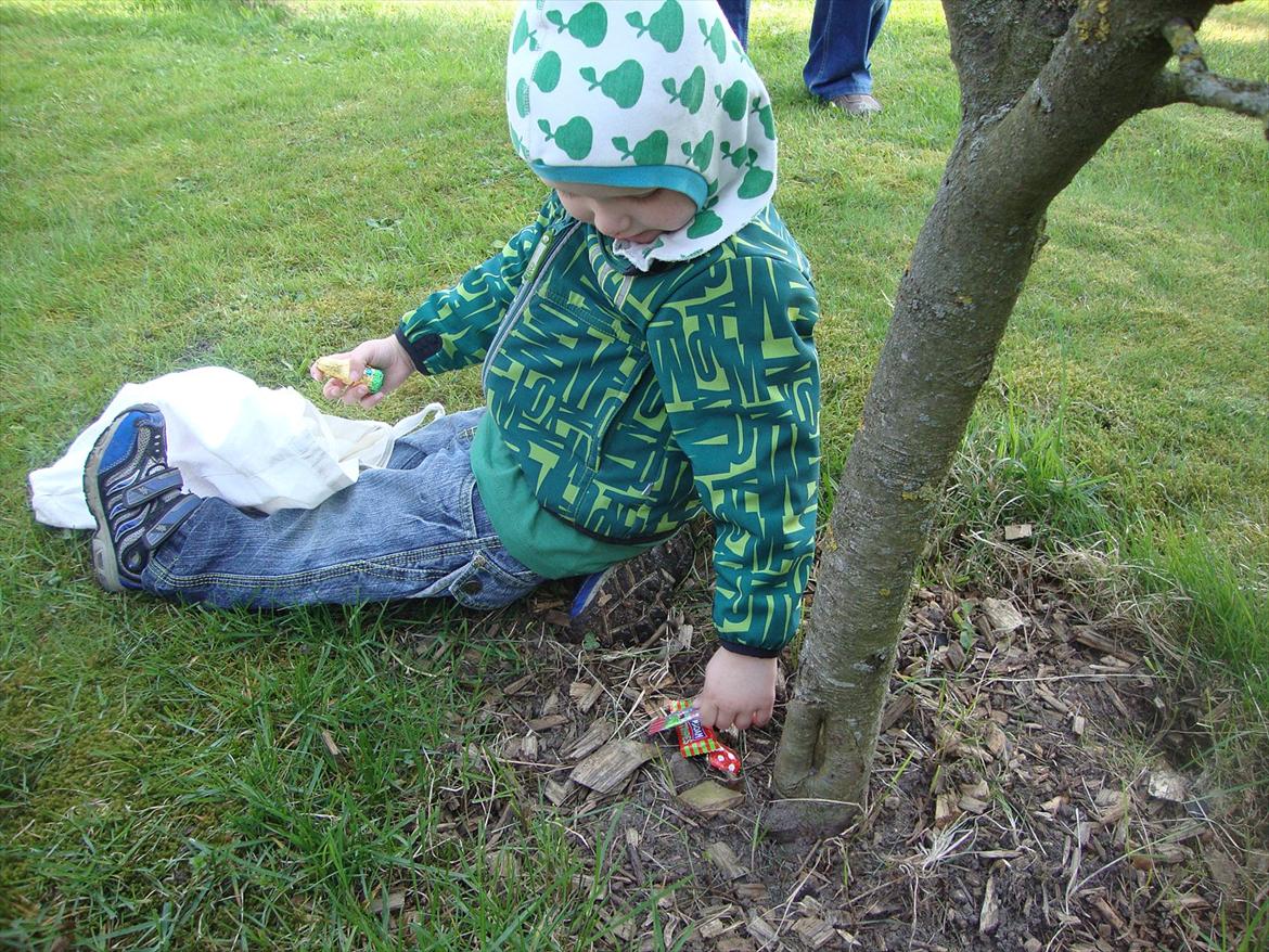 Dreng Phillip N Frohwirth - På påskeæg jagt billede 9