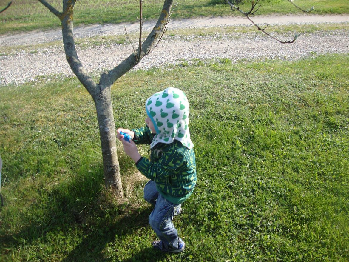 Dreng Phillip N Frohwirth - På påskeæg jagt billede 10
