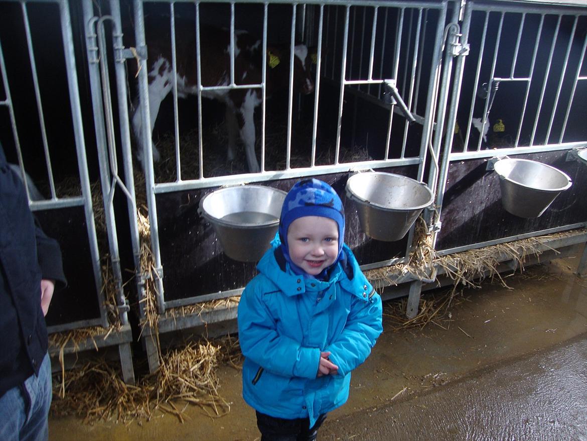 Dreng Phillip N Frohwirth - bondegårdsbesøg billede 13