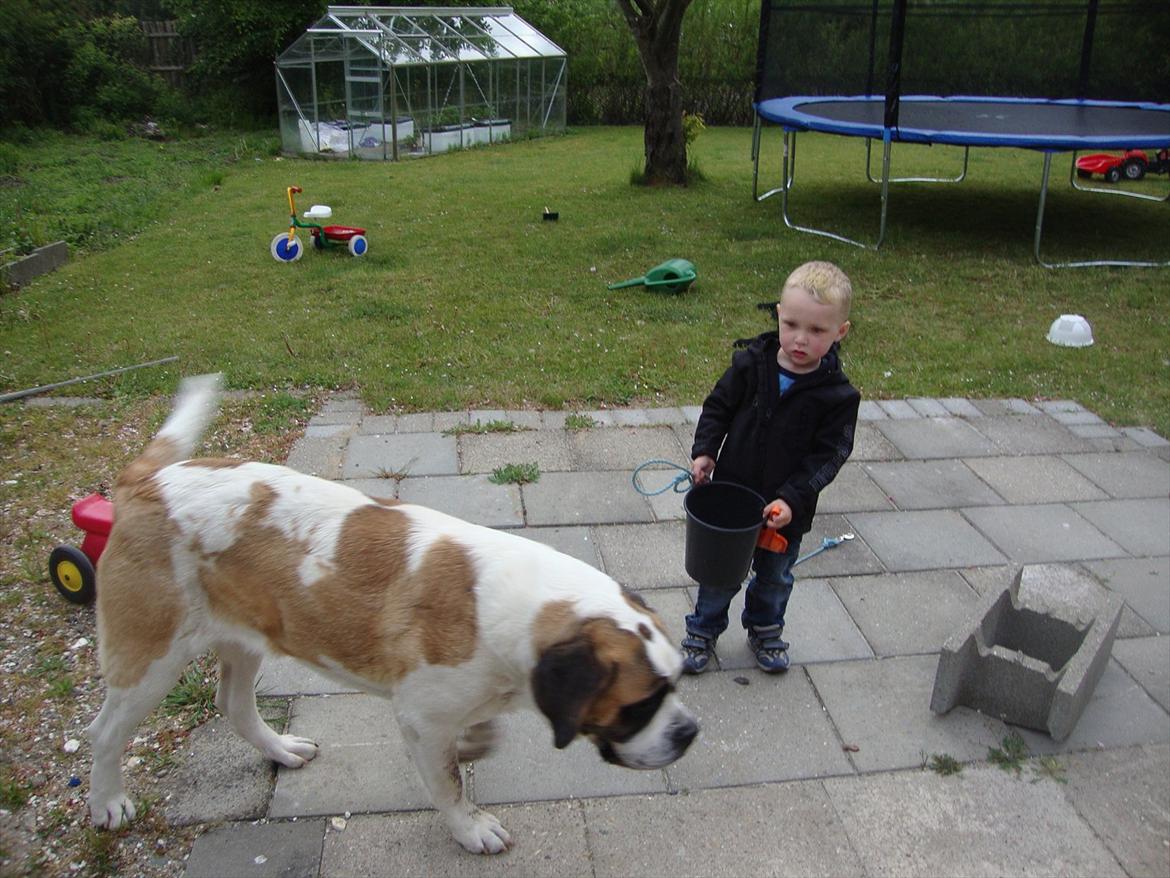 Dreng Phillip N Frohwirth billede 14