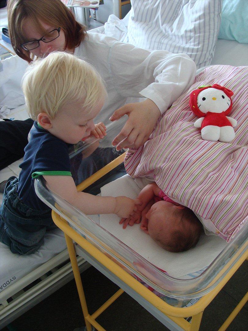 Pige Annesofie billede 2
