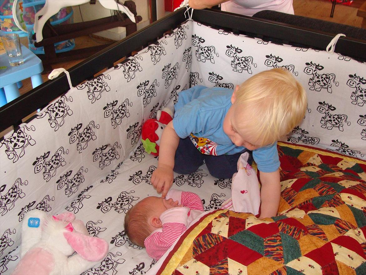 Pige Annesofie billede 5