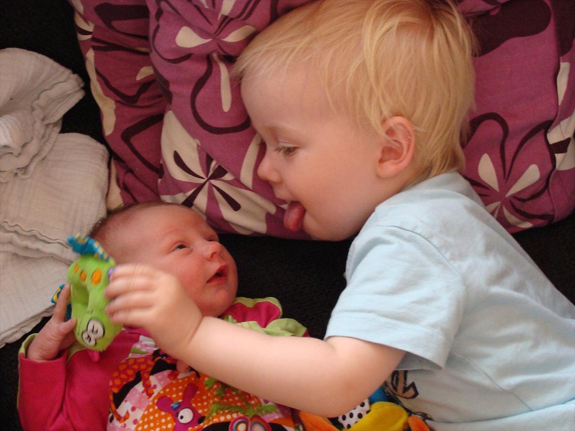 Pige Annesofie billede 6