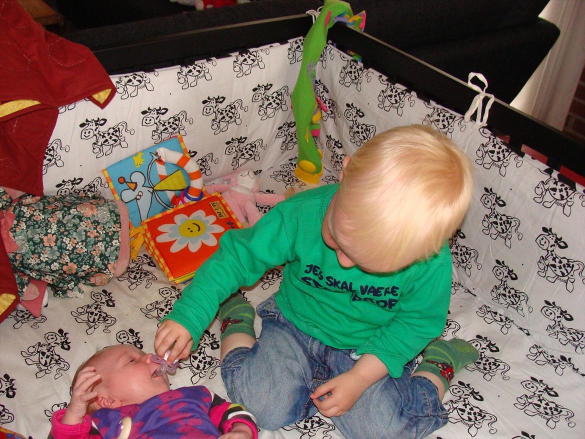 Pige Annesofie billede 10