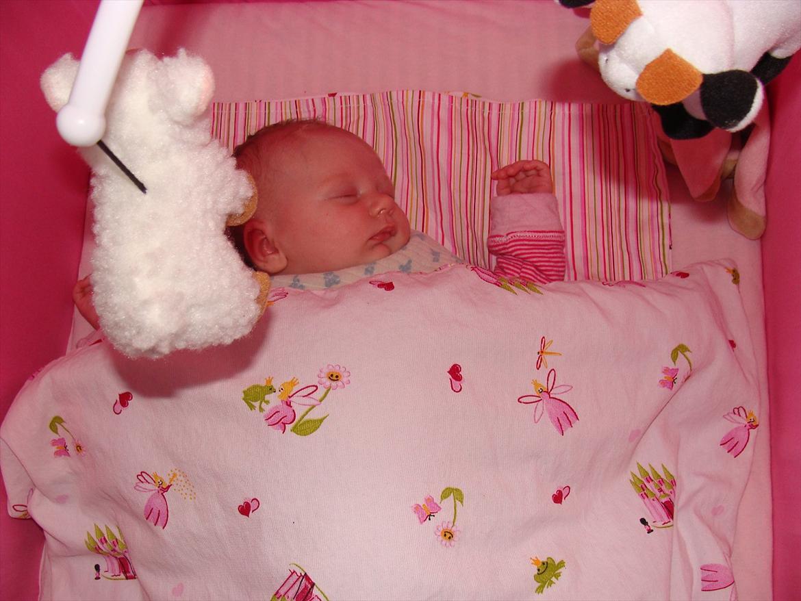 Pige Annesofie billede 12