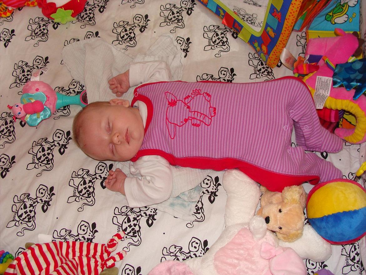 Pige Annesofie billede 13