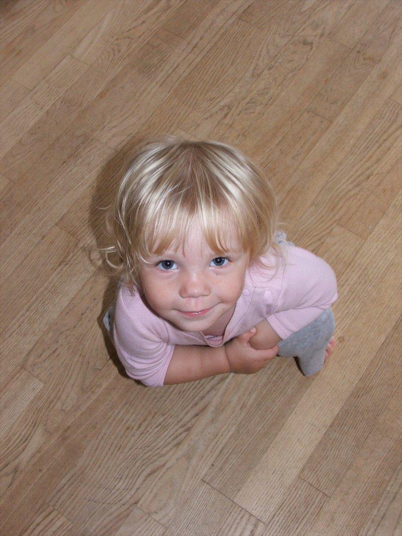 Pige Clara - Velkommen til 'Sessens' Profil:-) her så hun lige at mor tog kameraet og straks kom hun hen og poserede:-) billede 1