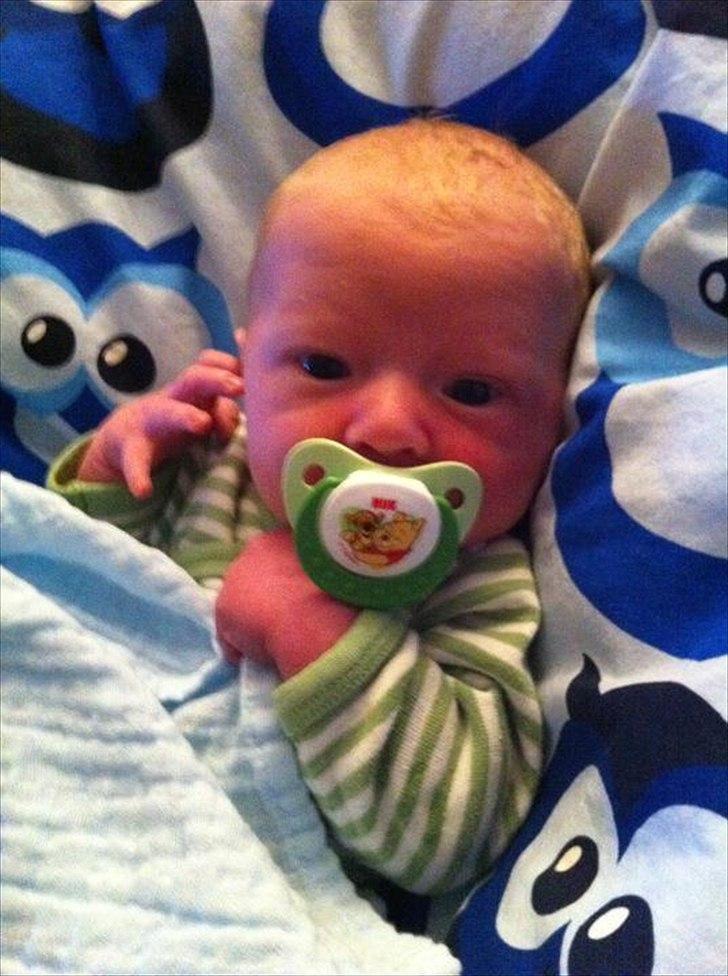 Dreng Oliver billede 4
