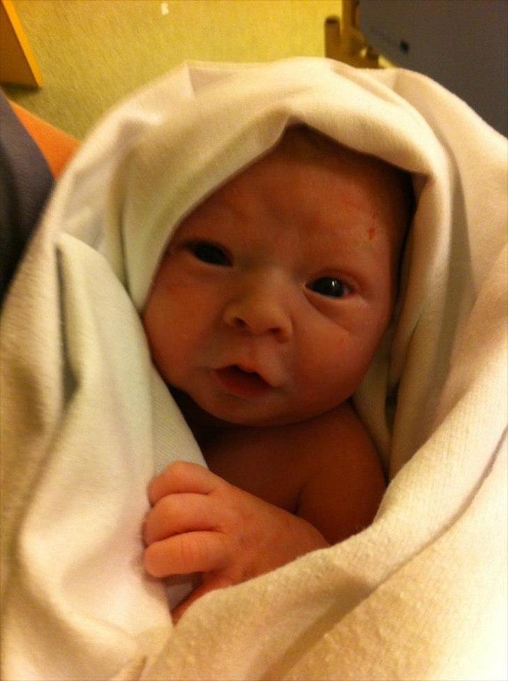 Dreng Oliver billede 5
