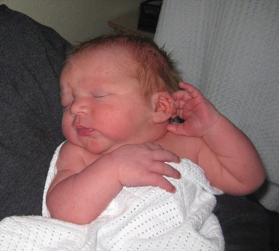 Dreng Alexander Noah billede 3