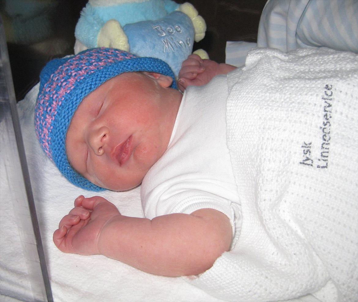 Dreng Alexander Noah billede 4