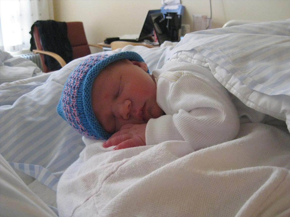 Dreng Alexander Noah billede 5