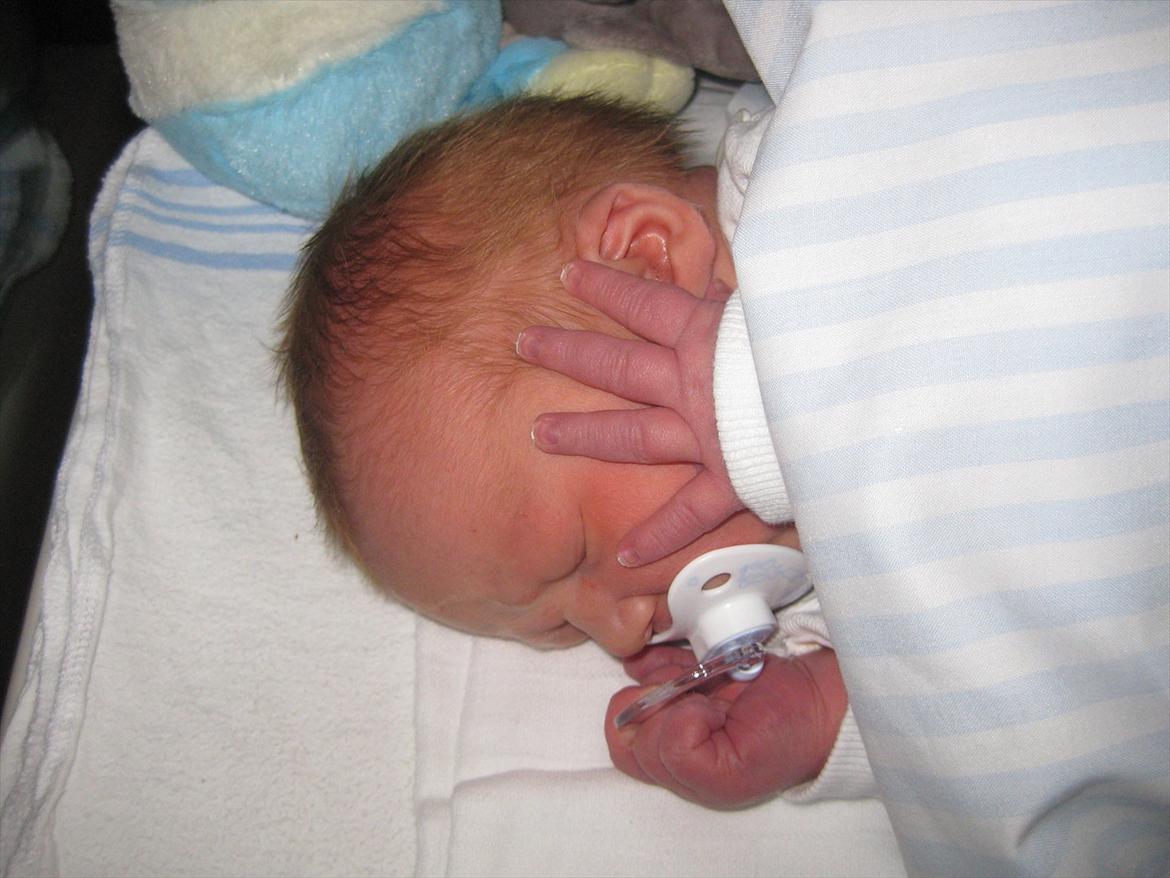 Dreng Alexander Noah billede 6