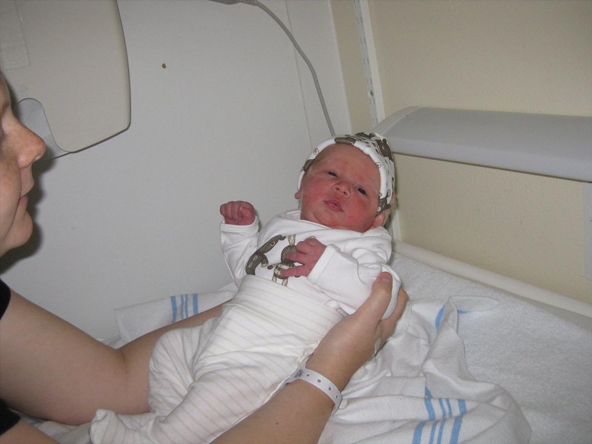 Dreng Alexander Noah billede 7