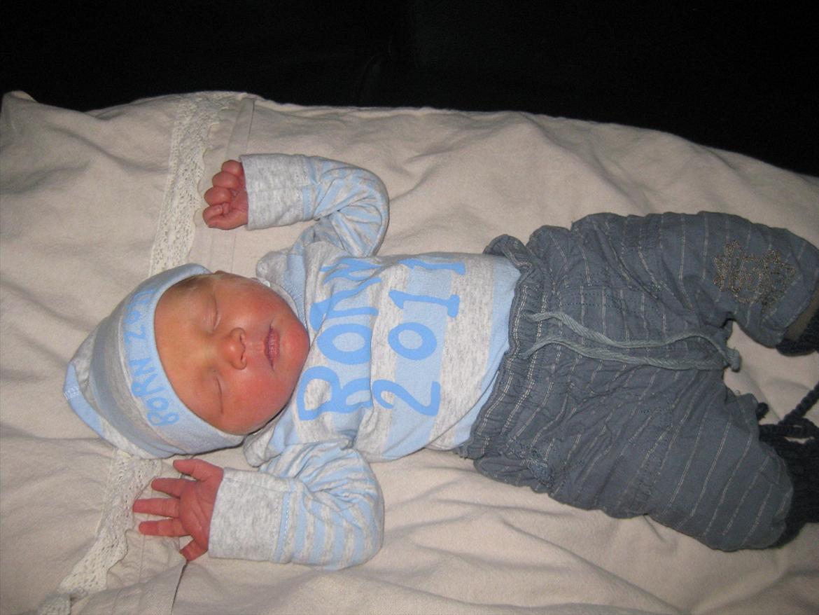 Dreng Alexander Noah billede 9