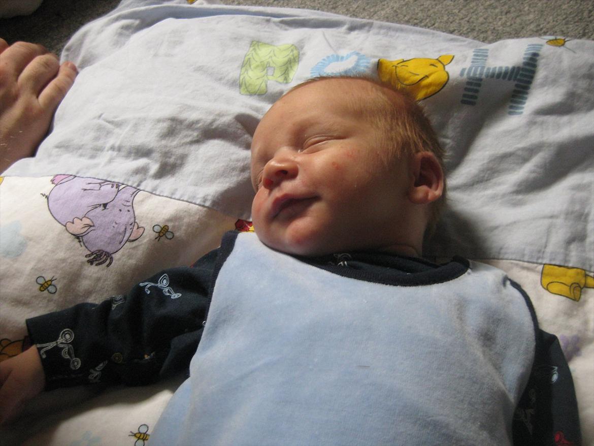 Dreng Alexander Noah - En glad lille dreng billede 10