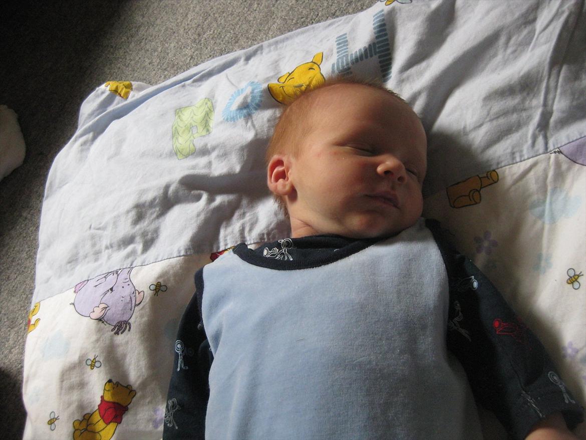 Dreng Alexander Noah billede 11