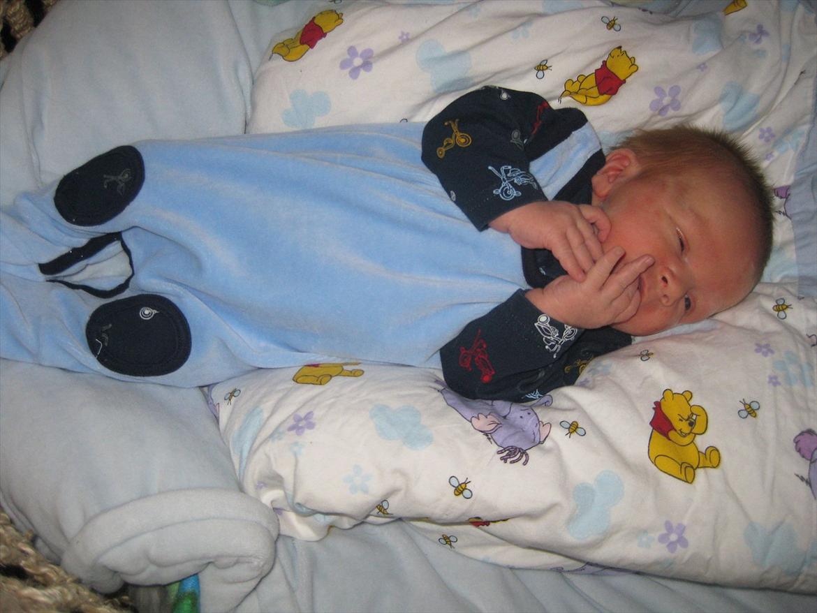 Dreng Alexander Noah billede 15