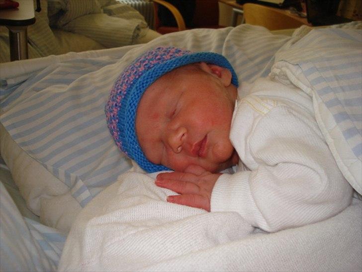 Dreng Alexander Noah billede 16