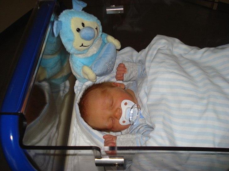 Dreng Alexander Noah billede 17